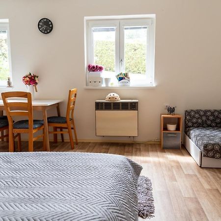 Apartmán Fraise Apartman Decin Kültér fotó
