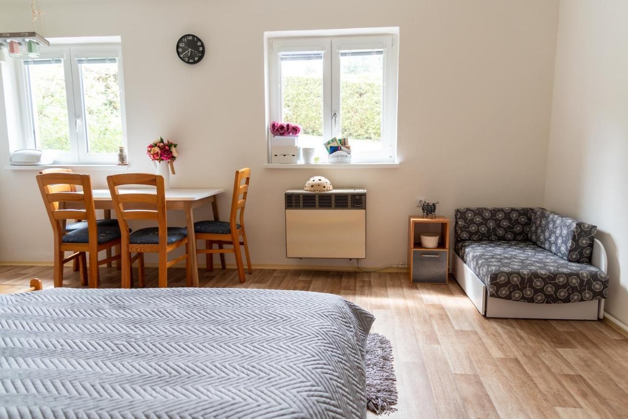 Apartmán Fraise Apartman Decin Kültér fotó