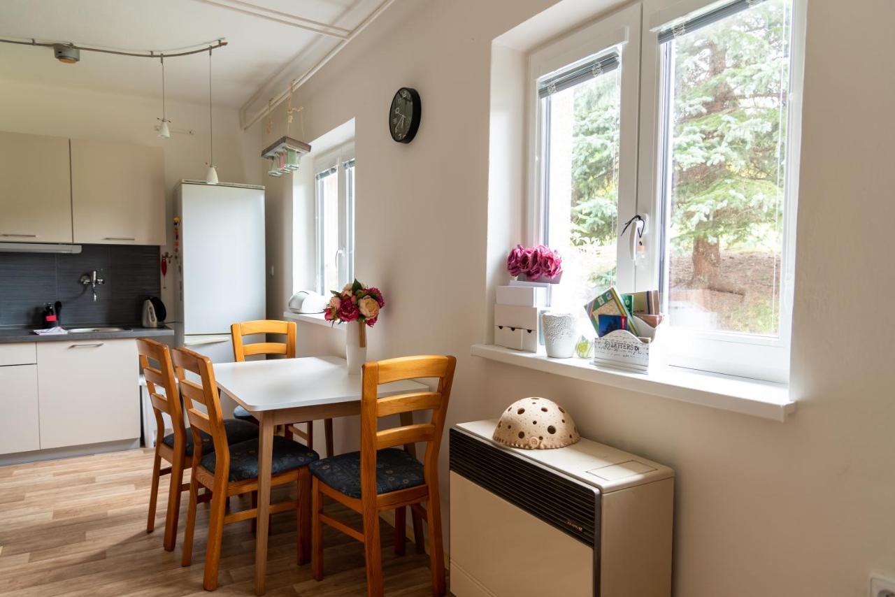 Apartmán Fraise Apartman Decin Kültér fotó